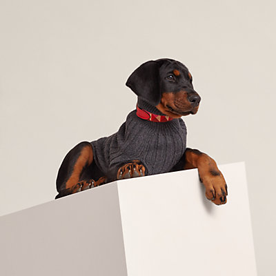 Hermès Equestrian and Dogs Accessories | Hermès Mainland China Hermès Equestrian and Dogs Accessories | Hermès Mainland China